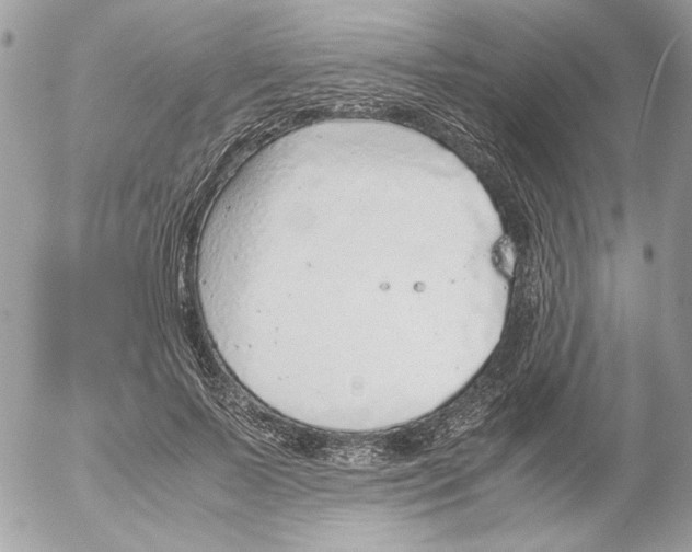 X0000052580695200507292032