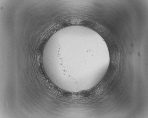 X0000052580697200507292032