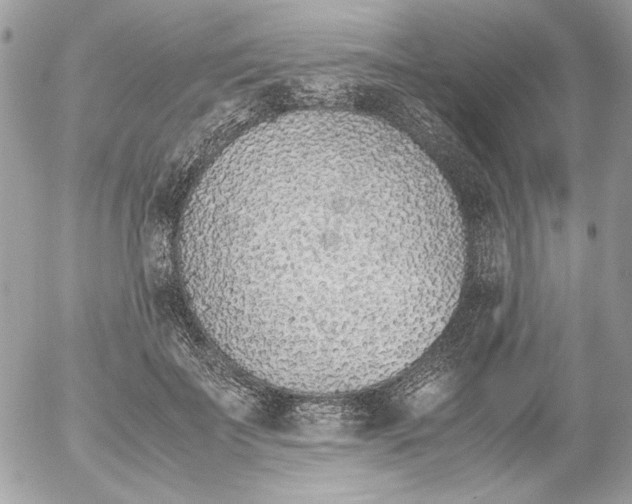 X0000052580699200507292032