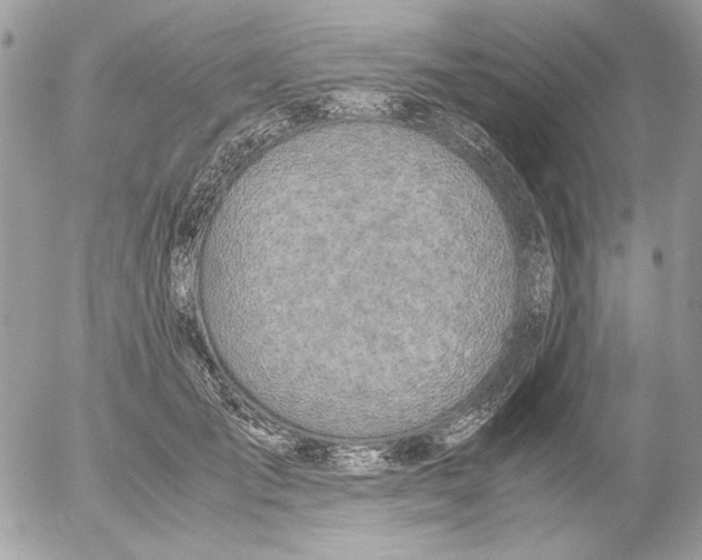 X0000052580701200507292032