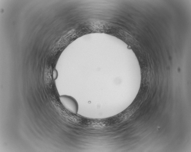 X0000052580702200507292032