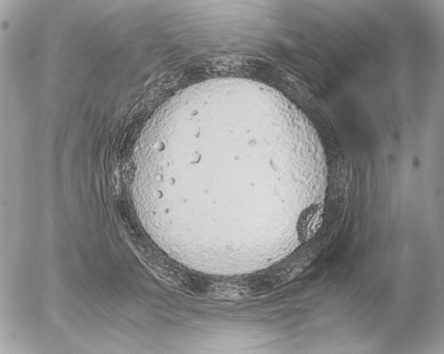 X0000052580703200507292032