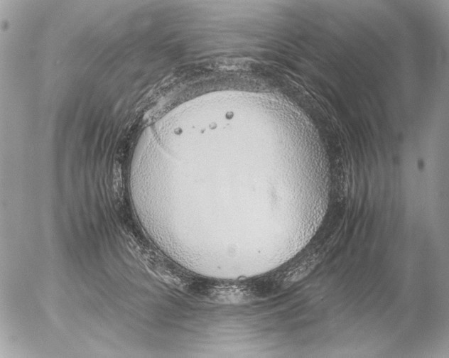 X0000052580704200507292032