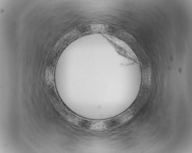 X0000052580705200507292032