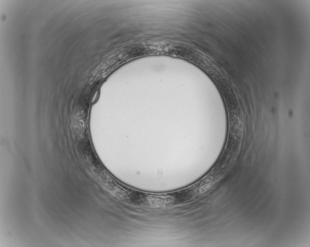 X0000052580707200507292032