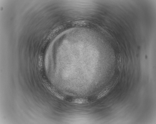 X0000052580708200507292032