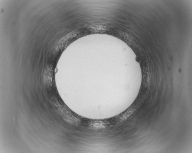 X0000052580710200507292032