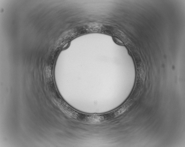 X0000052580711200507292032