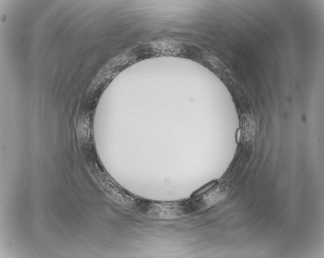 X0000052580713200507292032