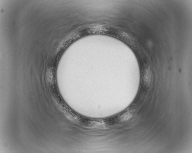 X0000052580715200507292032