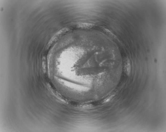 X0000052580716200507292032