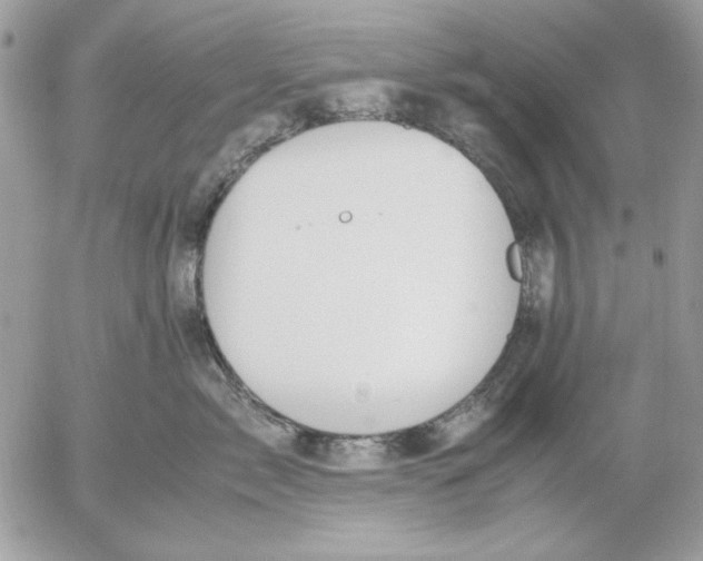 X0000052580717200507292032