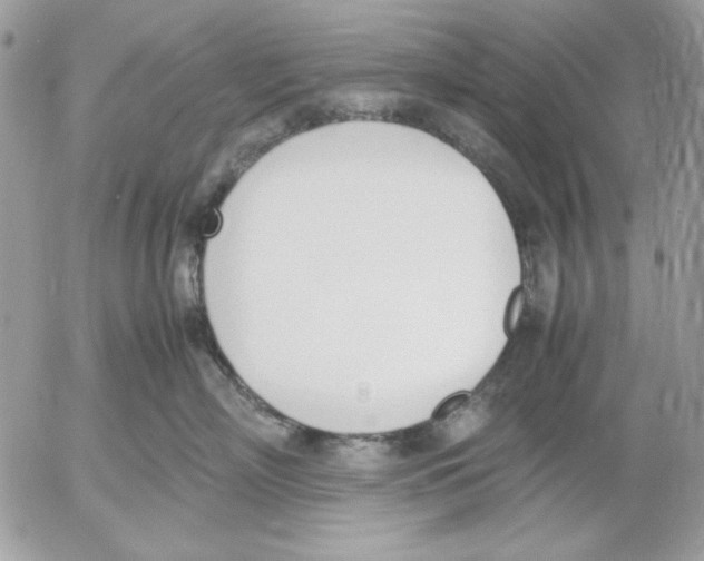 X0000052580718200507292032