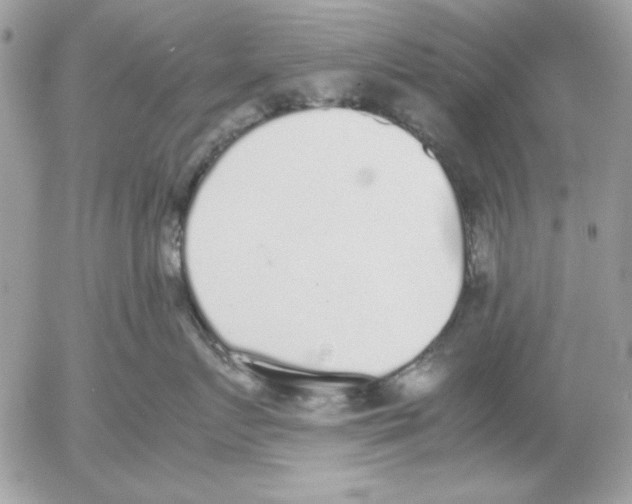 X0000052580719200507292032