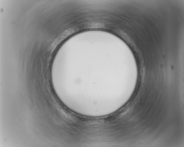 X0000052580721200507292031