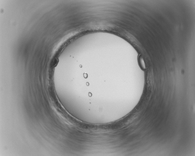 X0000052580722200507292031