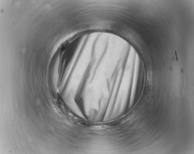 X0000052580724200507292031