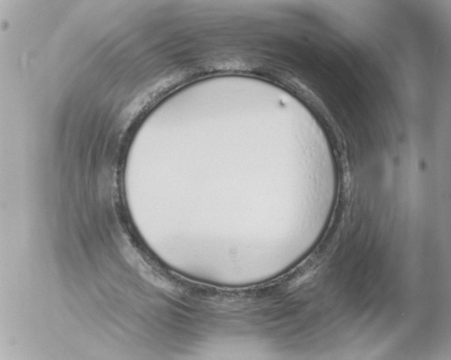 X0000052580725200507292031