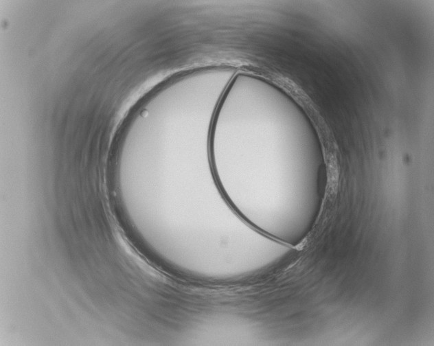 X0000052580726200507292031