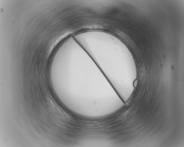 X0000052580727200507292031