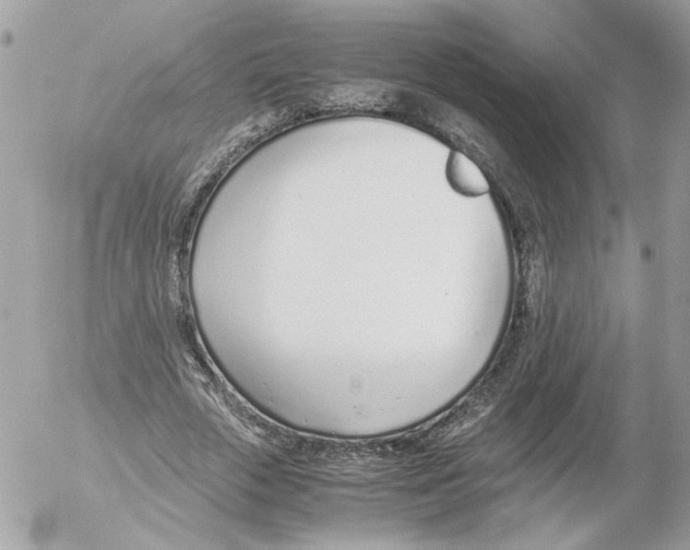 X0000052580729200507292031