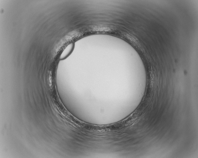 X0000052580731200507292031