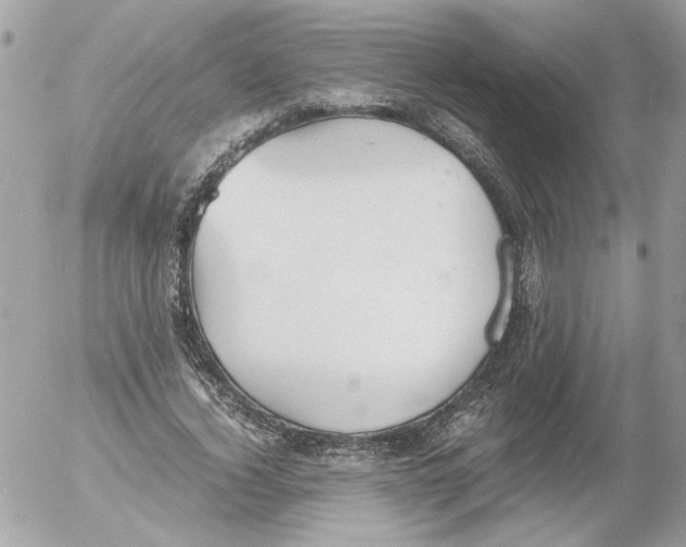 X0000052580732200507292031