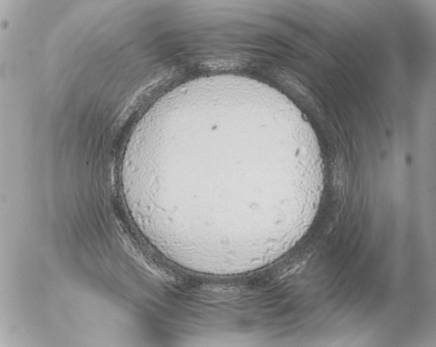 X0000052580733200507292031