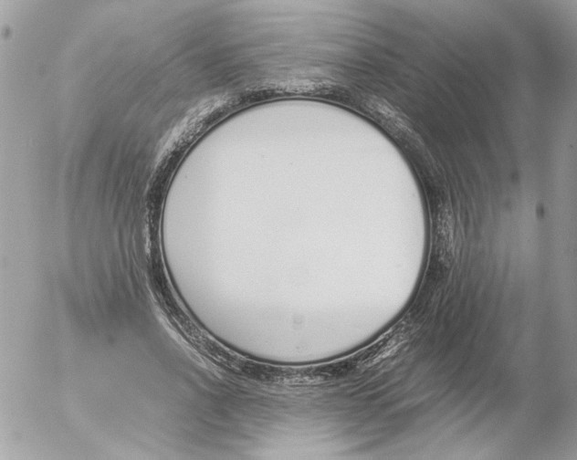 X0000052580734200507292031