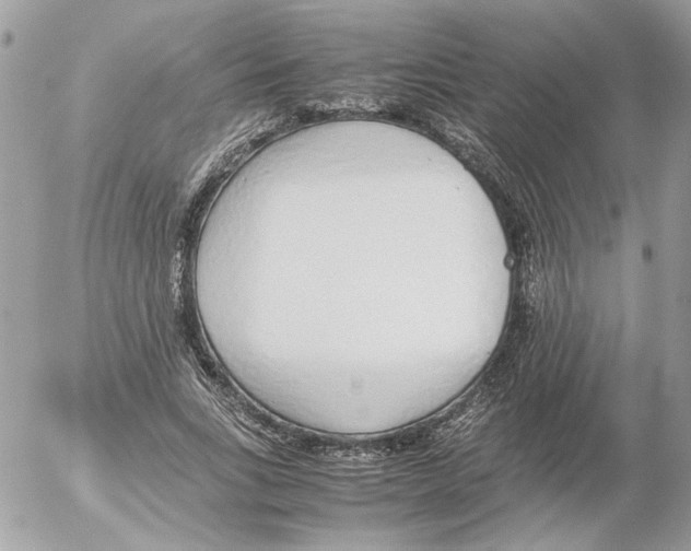 X0000052580735200507292031