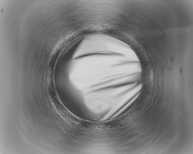 X0000052580736200507292031