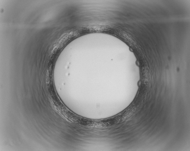 X0000052580738200507292031