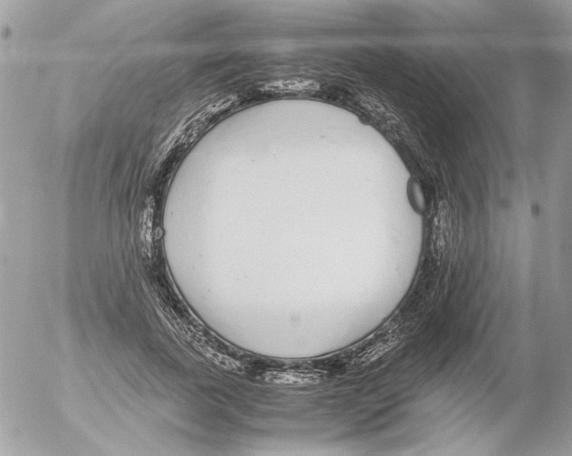 X0000052580739200507292031