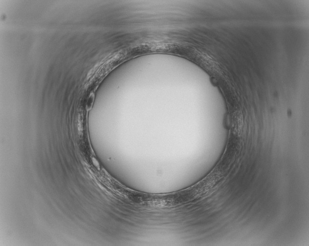 X0000052580740200507292031