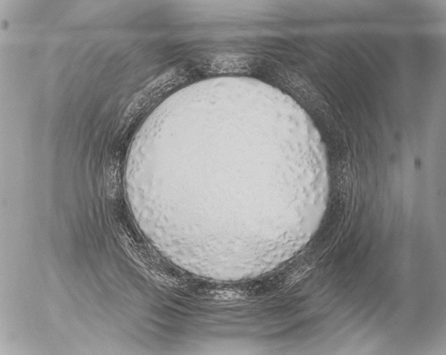 X0000052580741200507292031