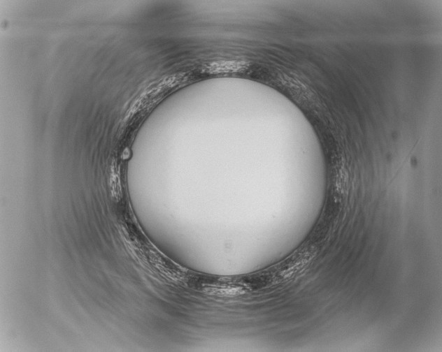 X0000052580743200507292031