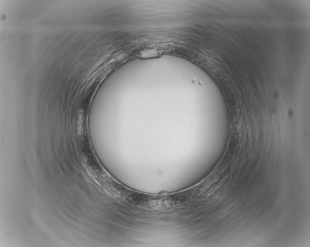 X0000052580744200507292031