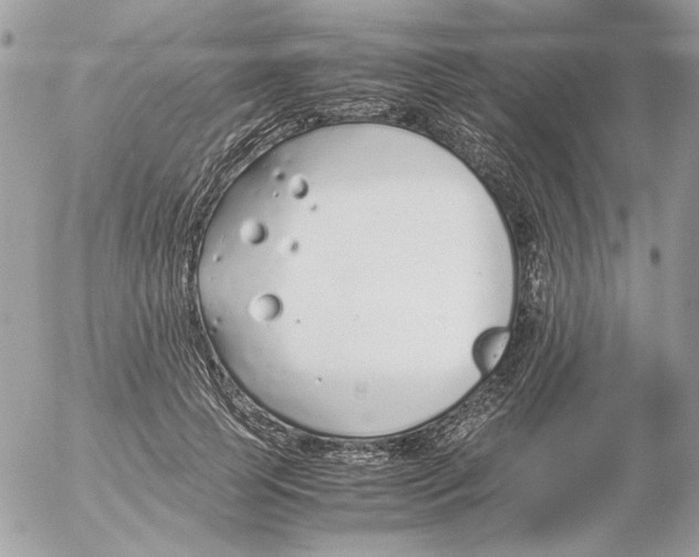 X0000052580745200507292031