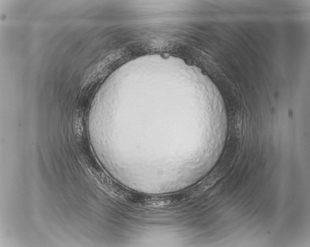 X0000052580746200507292031