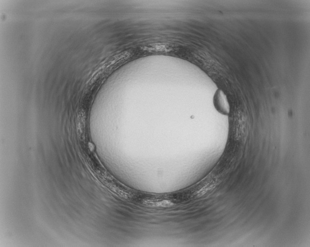 X0000052580747200507292031