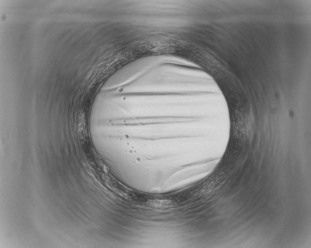 X0000052580748200507292031