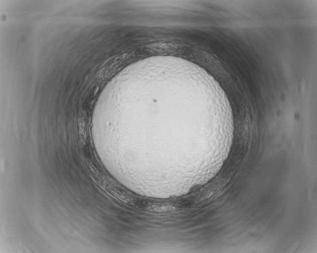 X0000052580749200507292032