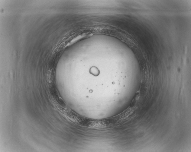 X0000052580750200507292032