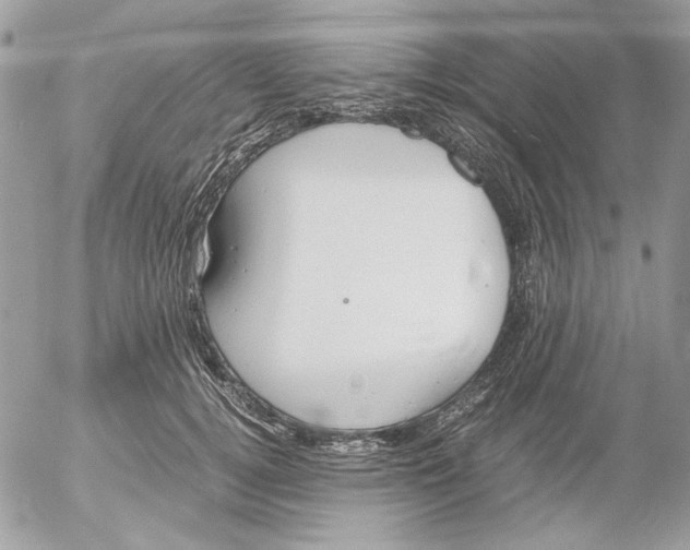 X0000052580752200507292032