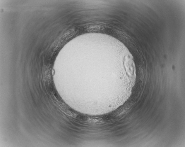 X0000052580753200507292032