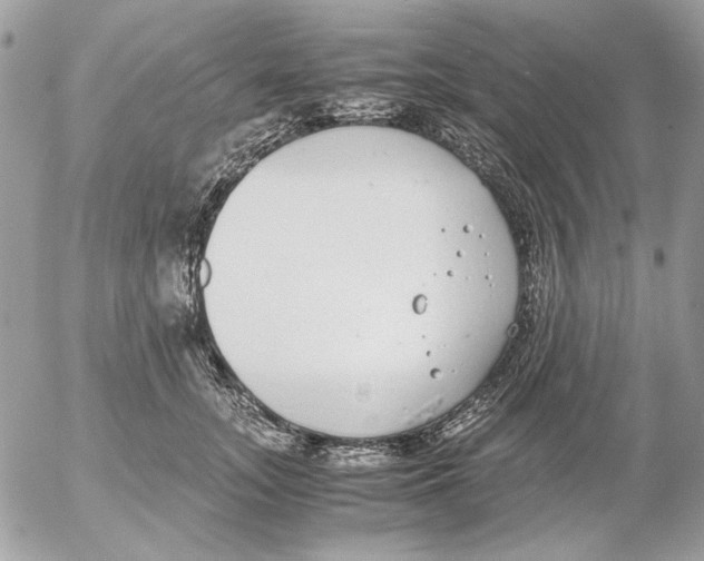 X0000052580755200507292032