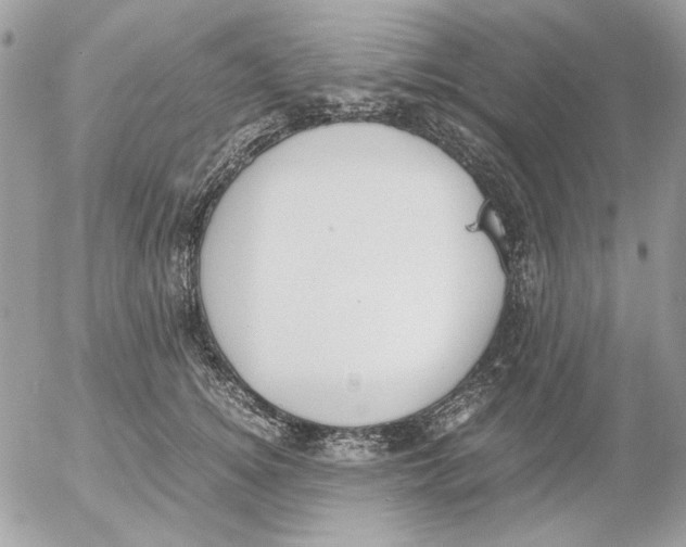 X0000052580756200507292032