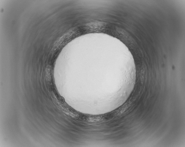 X0000052580757200507292032