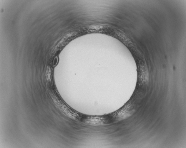 X0000052580758200507292032