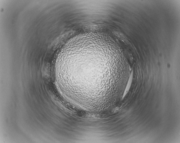 X0000052580760200507292032